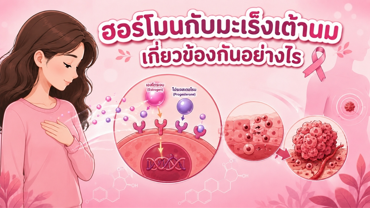 ฮอร์โมนกับมะเร็งเต้านม เกี่ยวข้องกันอย่างไร