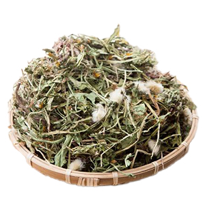 ผู่กงอิง