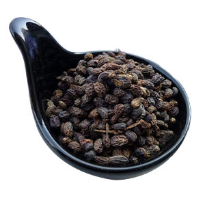 หนี่เจินจื่อ